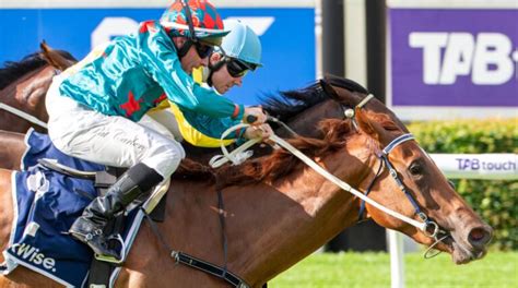 gimcrack racing tips.